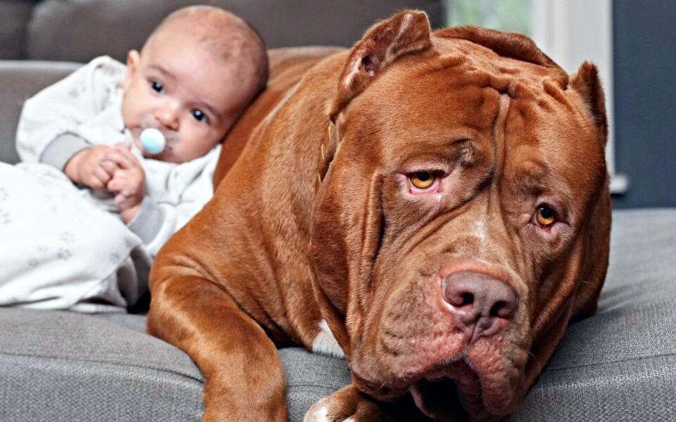 Caring Babysitter