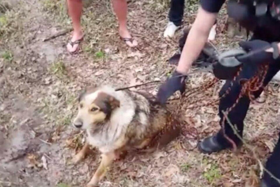 Rescue