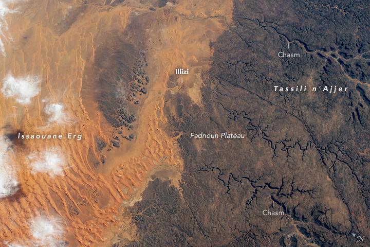 Orange dunes stand out against dark sandstone in Algeria