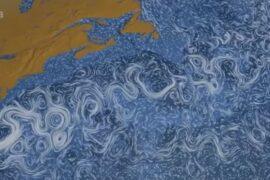 Monitoring the dynamic shape of the sea surface