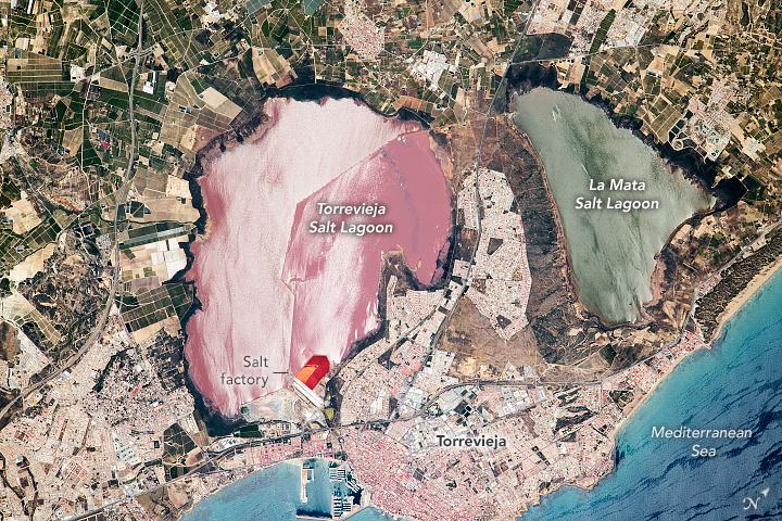 The vibrant salt lagoons of Torrevieja, Spain