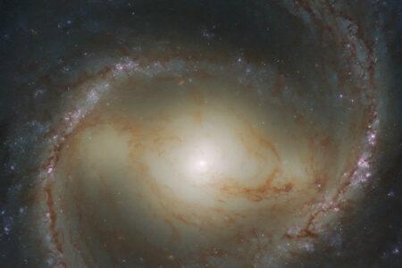 Spiral Snapshot