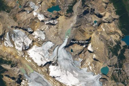 2022/05/peyto_oli_2021224.jpg