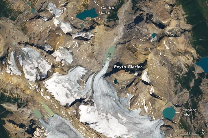 Peyto Glacier in Banff National Park