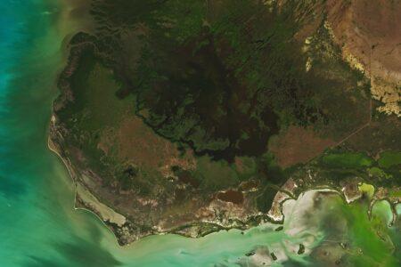 evergladesm_oli_202289_lrg2.jpg