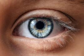 Experts give human eyes new life after death