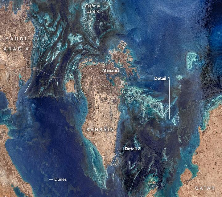 The fascinating underwater landscape of Bahrain