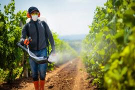 Alzheimer’s risk elevated by exposure to DDT