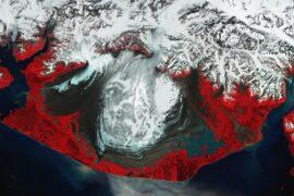 Malaspina, the world's largest piedmont glacier