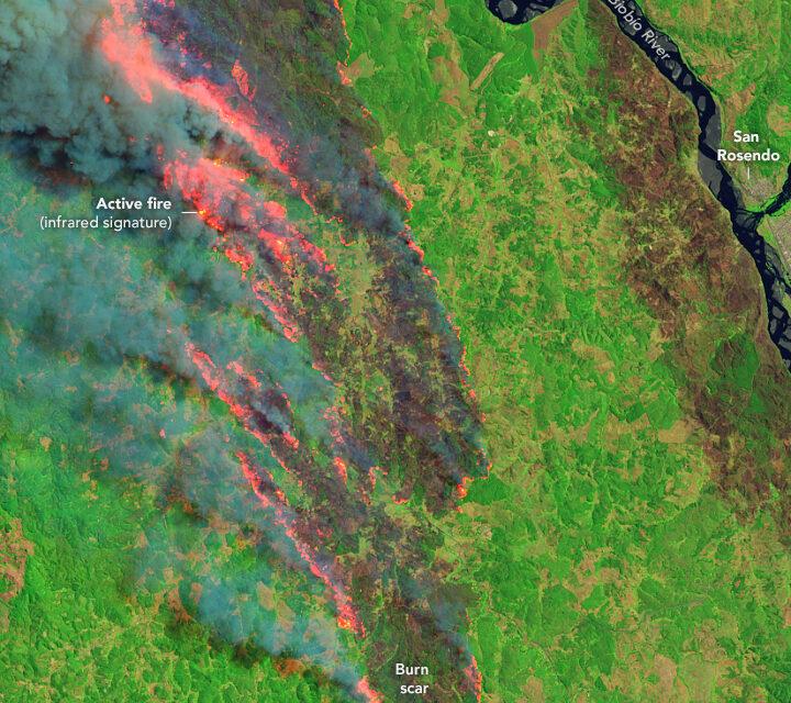 Heat and drought fuel fires in south-central Chile