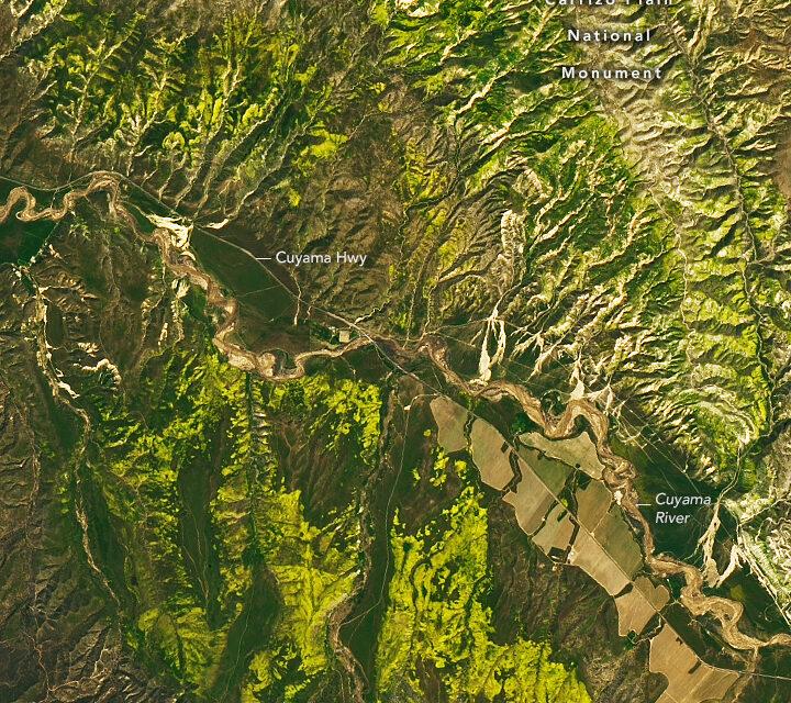 "Seasonal spectacle" of wildflowers in southern California 
