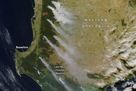 2023/04/austfires_amo_2023113.jpg