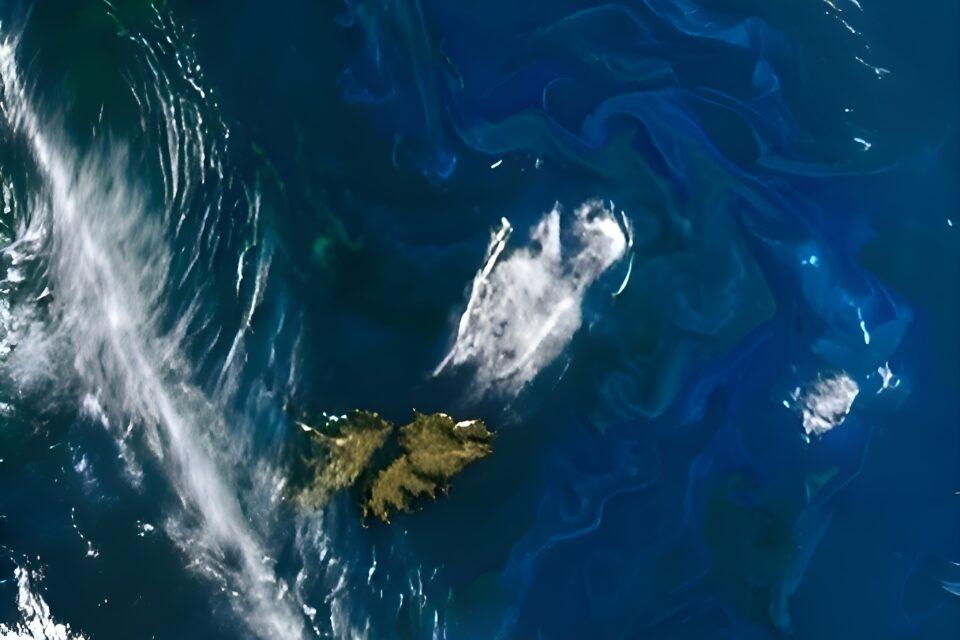 Plankton colors provide information about ocean health