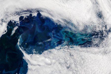 2024/06/Phytoplankton-bloom2.jpg