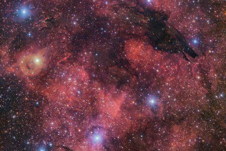 2024/10/Dark-wolf-Nebula.jpg