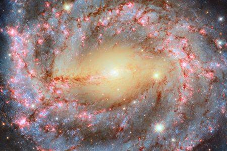 2024/12/NGC-5643.jpg