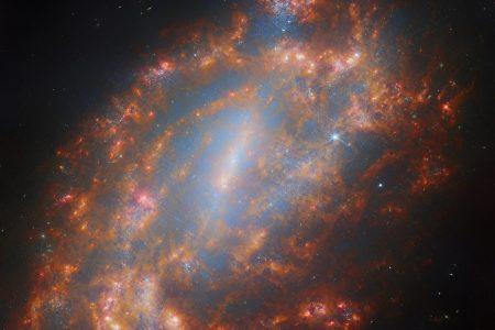 2024/12/NGC-1559.jpeg
