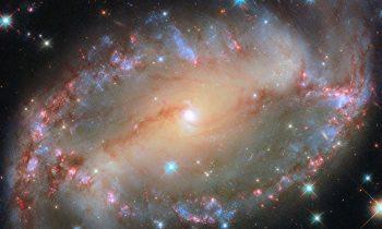 2024/12/NGC-2566.jpg