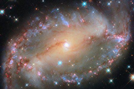 2024/12/NGC-2566.jpg