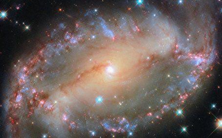 2024/12/NGC-2566.jpg