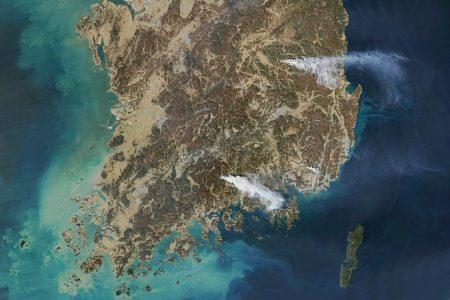 2025/03/South-Korea-fires.jpg