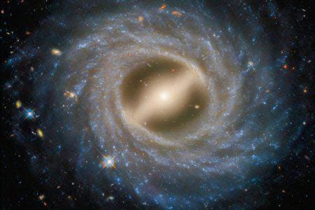 2025/05/NGC-5335-.jpg