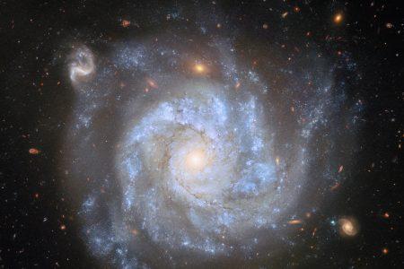 2025/08/NGC-1309.jpg