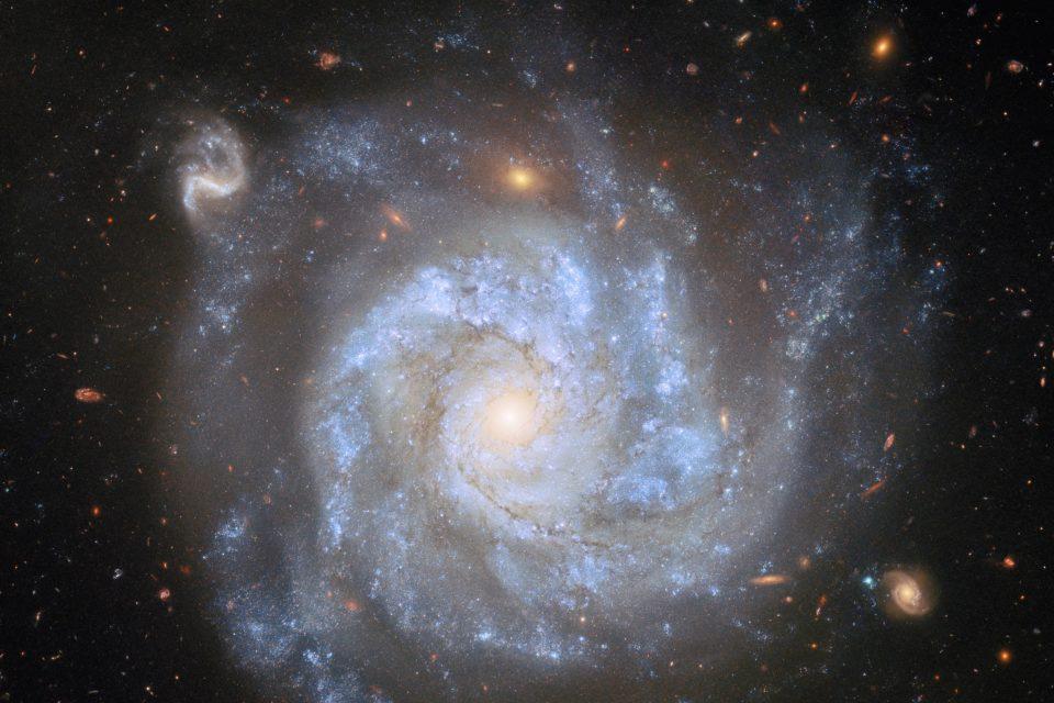 NGC 1309: The star that survived its own explosion 