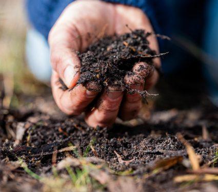 2025/08/soil-water.jpg
