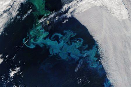 2025/08/Barents-Sea.jpg