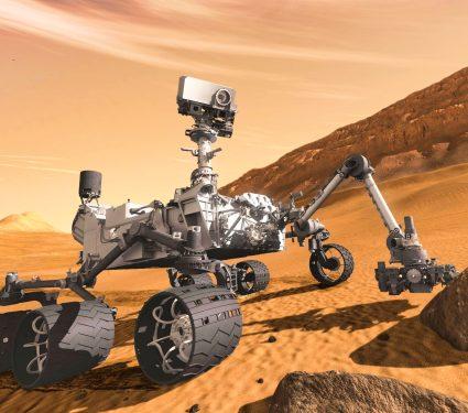 2025/08/rover-life2.jpg