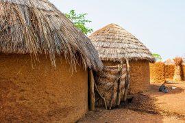 2025/08/Africa-heat-waves-.jpg