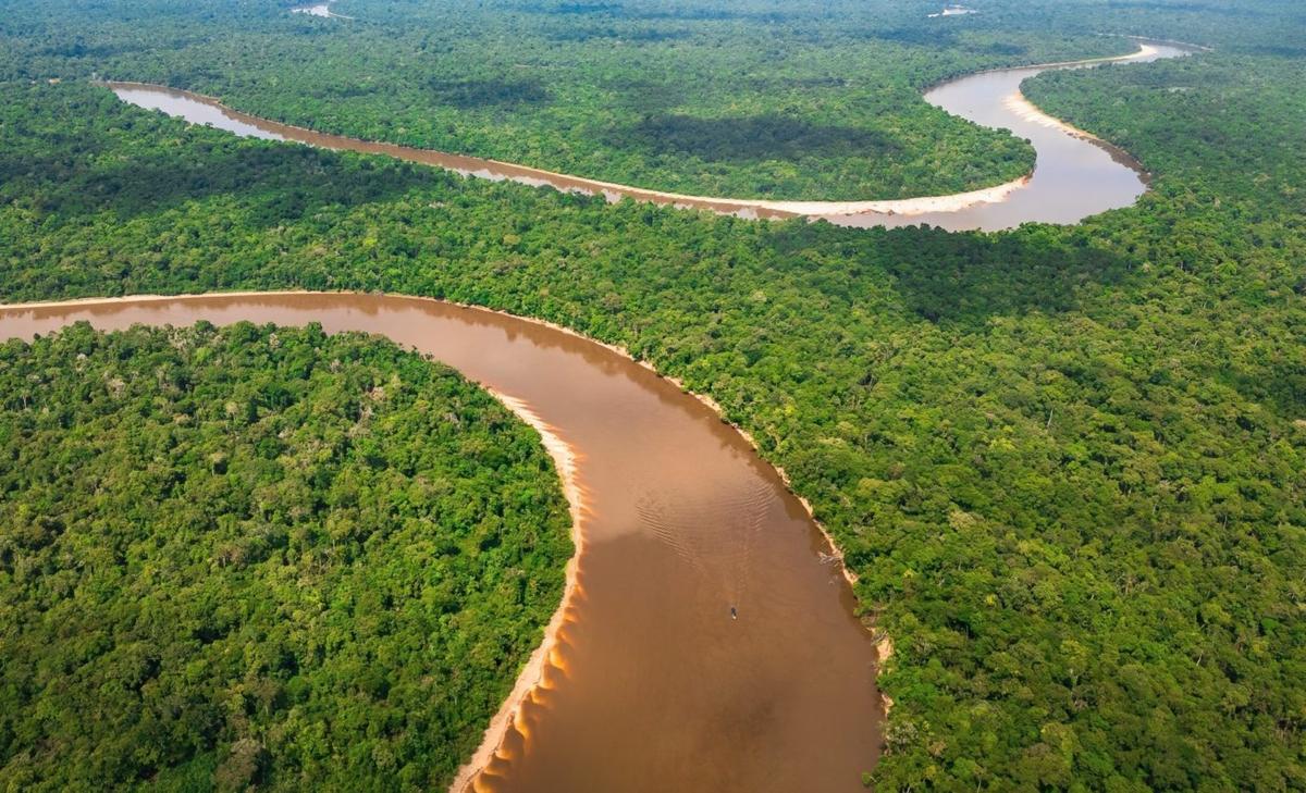 Forests are not adapting fast enough to climate change