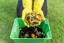 2025/08/Food-waste-composting.jpg
