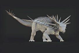 2025/08/Spicomellus3.jpg