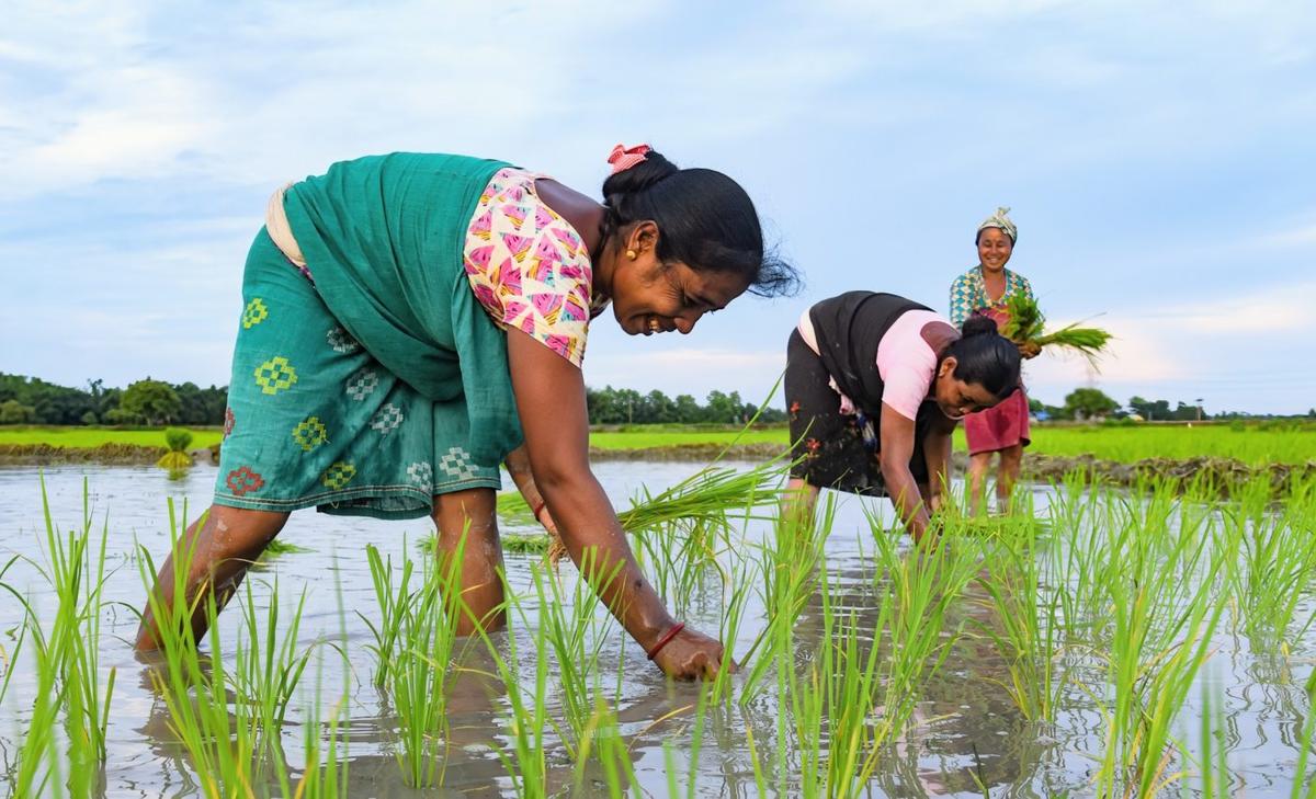 How the global food trade drains water from poor communities