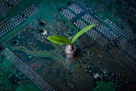 AI training boosts mental health and profits