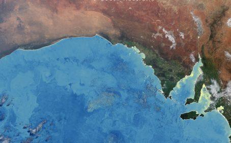 2025/08/Australia-bloom.jpg