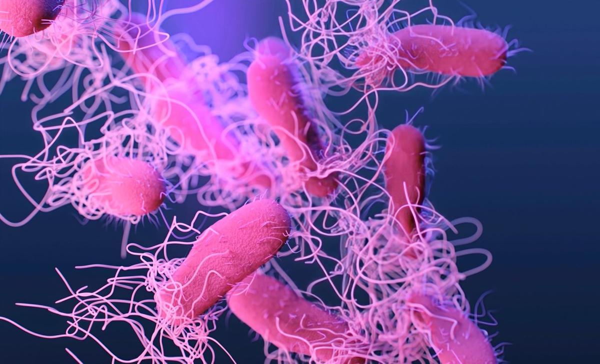 Evolution in progress: How ocean microbes shed genes to survive