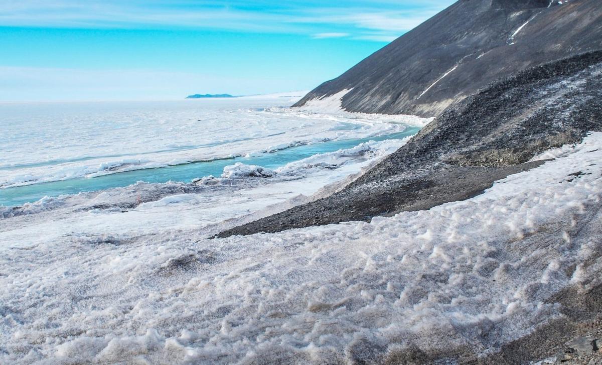 Antarctic algae that once cooled Earth are now disappearing