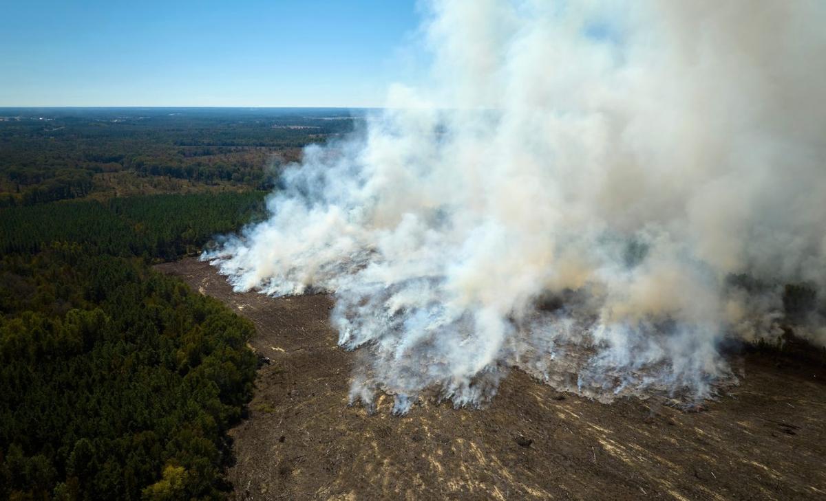 From ashes to action: Wildfire char holds a hidden climate solution