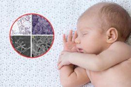 2025/09/babies-microbes-asthma-eczema-allergies.jpg