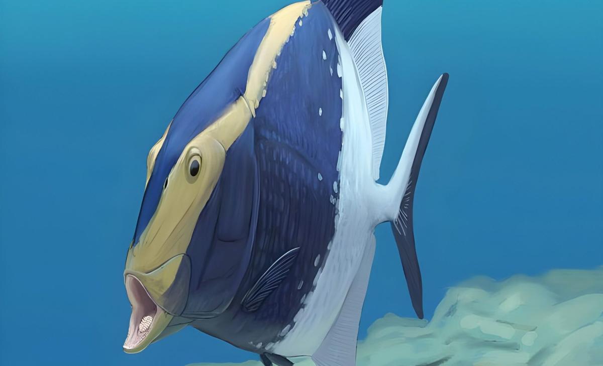Fossil reveals earliest-known "tongue bite" eating style in a fish that lived 310 million years ago