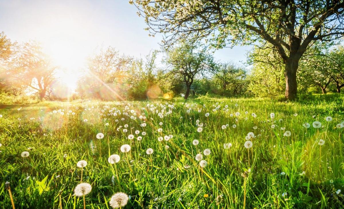 Seasonal timing can change quickly over short distances