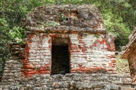 2025/09/ruins-rebellious-maya-city-emerging.jpg