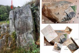 2025/09/stonehenge-forgotten-rock-discovery.jpg