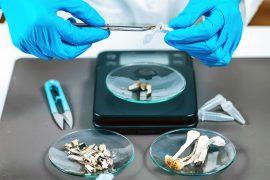 2025/09/psilocybin-therapy_depression-cure_1m.jpg