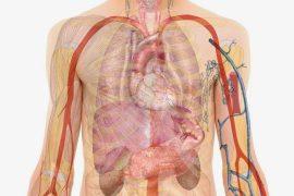 2025/09/Cells-electricity.jpg